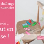 le-challenge-nuancier-janvier-by-libelul le-challenge-nuancier-janvier-by-libelul
