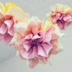 pompom-smile pompom-smile