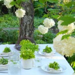 green-picnic green-picnic