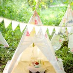picnic picnic