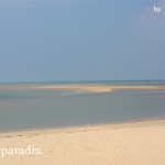 mon-paradis-by-libelul mon-paradis-by-libelul
