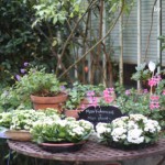jardin-de-ville-by-libelul jardin-de-ville-by-libelul