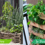 leminipotager-by-libelul leminipotager-by-libelul