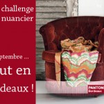 libelul-banner-challenge-nuancier-201109 libelul-banner-challenge-nuancier-201109