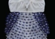 Libelul: Latest post