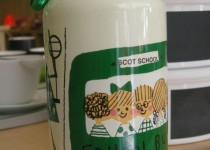 Libelul: Latest post