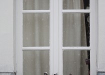 Libelul: Latest post