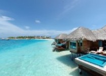 Libelul: Latest post