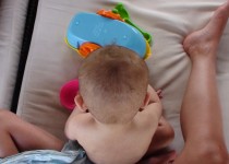 Libelul: Latest post