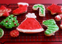 Libelul: Latest post