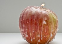 Libelul: Latest post