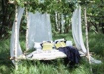 Libelul: Latest post