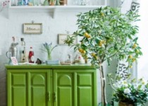 Libelul: Latest post