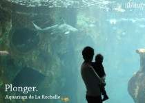 Libelul: Latest post