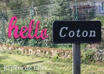 Libelul: Latest post