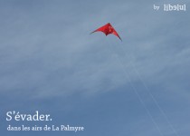 Libelul: Latest post