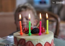 Libelul: Latest post
