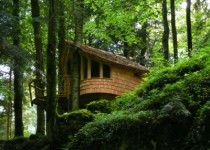 Libelul: Latest post