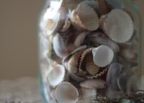 Libelul: Latest post