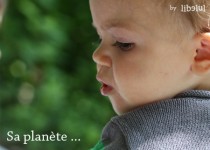 Libelul: Latest post