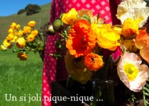 Libelul: Latest post