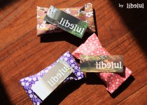 Libelul: Latest post