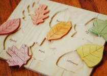 Libelul: Latest post