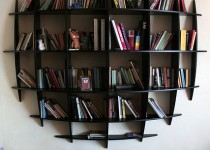Libelul: Latest post