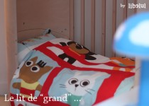 Libelul: Latest post