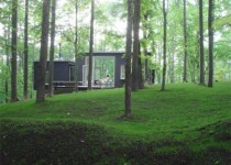 Libelul: Latest post