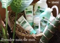 Libelul: Latest post