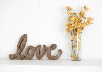 Libelul: Latest post