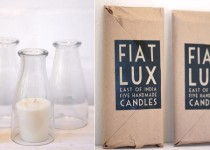 Libelul: Latest post