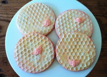 Libelul: Latest post