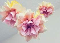 Libelul: Latest post
