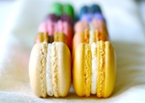 Libelul: Latest post