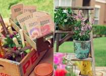 Libelul: Latest post