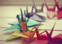 Libelul: Latest post