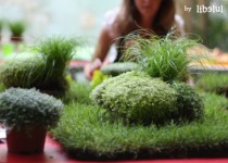 Libelul: Latest post