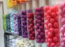 Libelul: Latest post