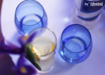 Libelul: Latest post