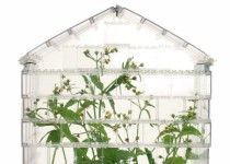 Libelul: Latest post