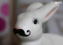 Libelul: Latest post