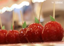 Libelul: Latest post