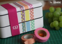 Libelul: Latest post