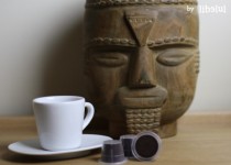 Libelul: Latest post