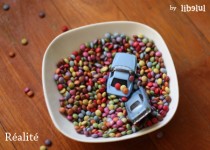 Libelul: Latest post