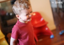 Libelul: Latest post