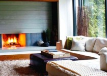 Libelul: Latest post