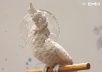 Libelul: Latest post